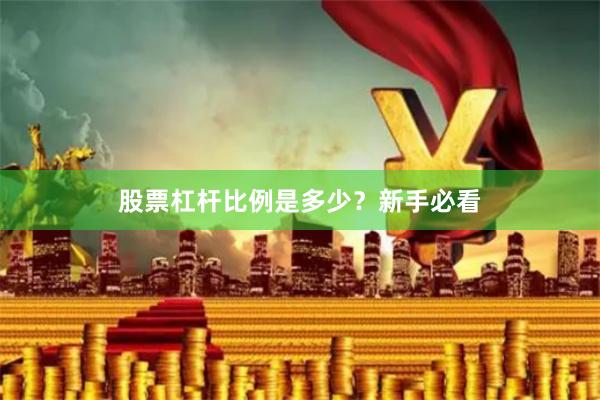 股票杠杆比例是多少？新手必看